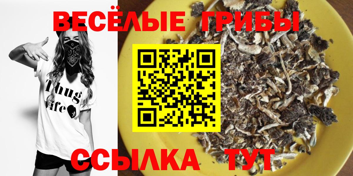 Псилоцибиновые грибы Psilocybe  Псилоцибиновые грибы прущие грибы  Славянск-на-Кубани  Вход с VPN 